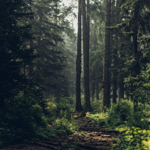 degleex-ganzorig-wQImoykAwGs-unsplash